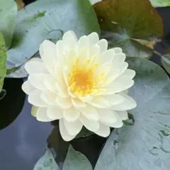 nori3様 リクエスト 2点 まとめ商品