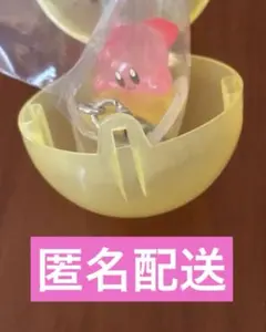 星のカービィ めじるしアクセサリー2 ワープスター