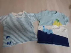 graniph 　ユニクロ　Tシャツ