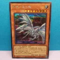 遊戯王『青眼の亜白龍』シークレットレア〔管番: 1216E〕