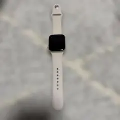 Apple Watch SE 44mm アルミニウム 本体