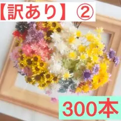 tao様 リクエスト 3点 まとめ商品