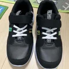 Item thumbnail for item 8f541ca5-845a-4492-a714-8e79561af929