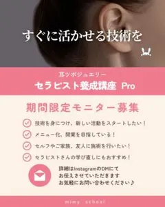 耳ツボジュエリーセラピスト養成講座 Pro | 耳ツボジュエリー | テキスト