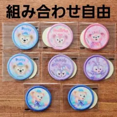 ディズニーシー　20周年　カラフルハピネス　ダッフィー&フレンズ　ワッペン