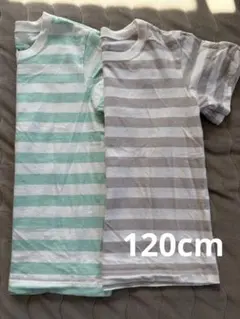 無印良品　半袖　Tシャツ 120cm 2枚セット　③