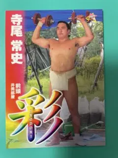 寺尾 2015 BBM 大相撲 至宝 トレカ 33 - メルカリ