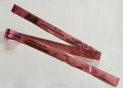 いれいす　Summer Tour 2026 銀テープ　ないこ　Lalaアリーナ