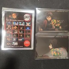 鬼滅の刃 トレーディングミニブロマイド 無限城編 義勇