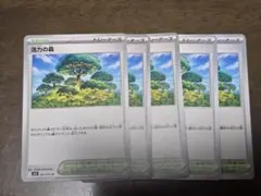 Item thumbnail for item ed9e7222-ec98-4107-bed1-30f1d7b59635