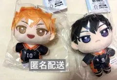 日向翔陽 影山飛雄 ぬいパル