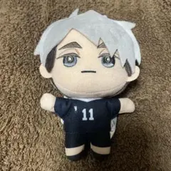 【24時間以内発送】 ハイキュー！！ みにコレ！ ぬいぐるみマスコット　５　宮治