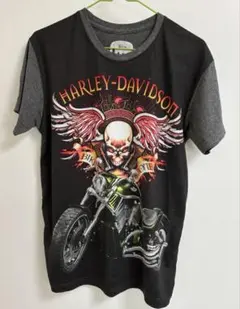 Item thumbnail for item e1fa9ccd-dbbe-4a30-a844-c16237845e10