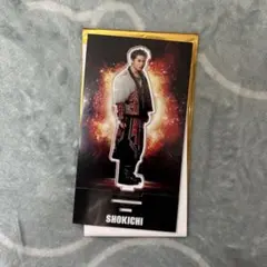 EXILE THE REASKN SHOKICHI アクスタ