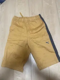 プーマ１５０センチ