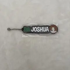 SEVENTEEN JOSHUA キーホルダー