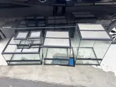 2026年最新】グラステラリウム 6030の人気アイテム - メルカリ