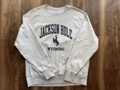 Champion リバースウィーブ JACKSON HOLE L