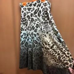 Item thumbnail for item 9db2aa3a-4229-4edc-b0b7-22608d0ba71b