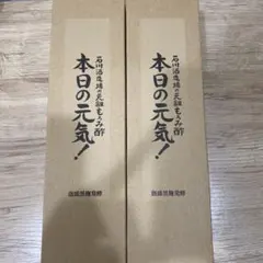 Item thumbnail for item f0f3d383-77f5-408d-b0cc-d4e1d43d464f