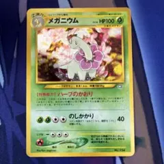 メガニウム_プレミアムファイル PROMO 第1世代 1996~1999 ポケカ