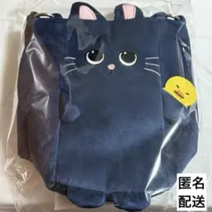 ＊新品未開封＊RIIZE FANLIGHT ファンライトバッグ ウォンビン