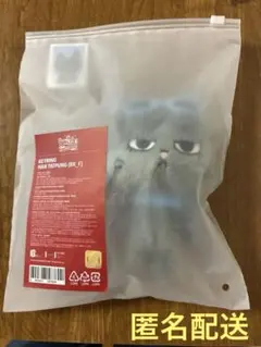 BOYNEXTDOOR HAN TATPUNG ハンテップン　テサン キーリング