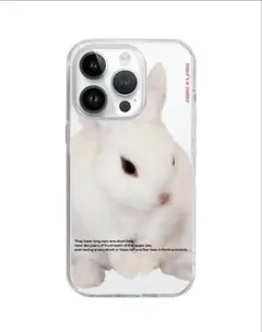 That's a point rabbit phone case 16pro