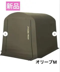 Item thumbnail for item 6b05ea9d-2576-4071-a271-0bc2e265887d