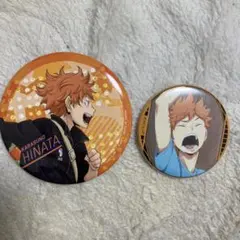 日向翔陽 缶バッジ 2個セット