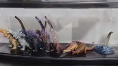 HG シン・ゴジラ　8体セット