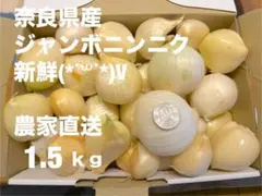 奈良県産　ジャンボニンニク １.5キロ　新鮮！無農薬のサムネイル