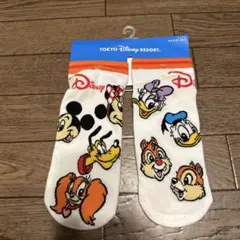 東京ディズニーランド　ディズニーリゾート　靴下のサムネイル