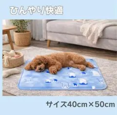반려동물을 위한 쿨 매트, 40 x 50 cm, 개, 고양이, 소형견용, 여름 보호용