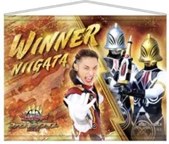 ブーケ ゴジュウジャー FLT ミニポスター ブロマイド アクリルカード