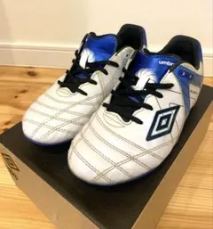 Item thumbnail for item ca815cb2-3c02-41cf-8e56-0714fa1e0bc6