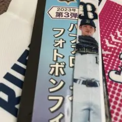 オリックスバファローズ ボンフィン 山下舜平大