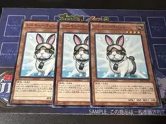 2026年最新】プレイマット レスキューラビットの人気アイテム - メルカリ