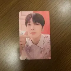SEVENTEEN ウォヌ シーグリ トレカ