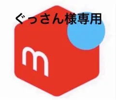 ぐっさん様専用