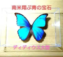 すけみつ様 リクエスト 2点 まとめ商品