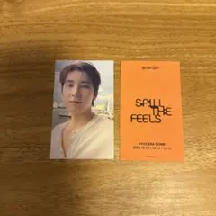 SEVENTEEN ウォヌ 会場限定 大阪 ユニバ