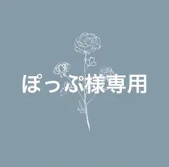 ぽっぷ様専用ページ