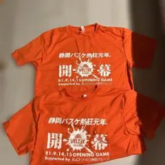 Item thumbnail for item 31601ffa-2121-456c-ab0b-8c07074b3043