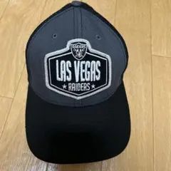 Item thumbnail for item 252180fe-b758-4f6d-b7dc-31d8721403e4