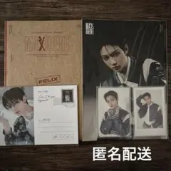 straykids maxident フィリックス case ver.