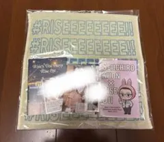 Item thumbnail for item a0439ad1-582e-4566-8d4c-56bb4624c760