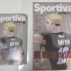 ハイキュー ショーセツバン ビジュアルボード sportiva 影山飛雄
