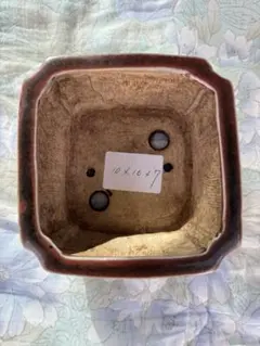 2026年最新】平安虹泉の人気アイテム - メルカリ