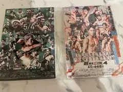 ★激レア【超強者限定】RIZIN 男祭りポスター アートボード 朝倉未来のサムネイル